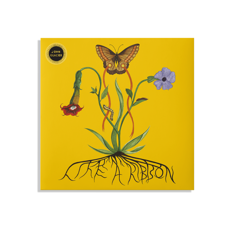 Like A Ribbon LP